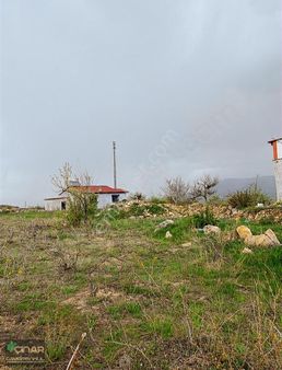 Gesi Büyük Bürüngüz Mah. İmar İçerisinde 2.035m2 Satılık Bağ