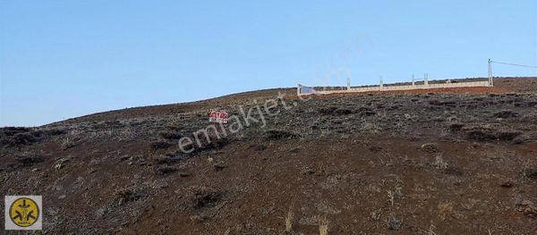 Tunç Harita Emlak'tan Alpağutta Yaylalık Kaçmaz Fırsat