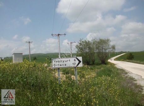 Bilecik Söğüt Yeşilyur,ta Asfaltına Cepe 4200 M2 Arsa