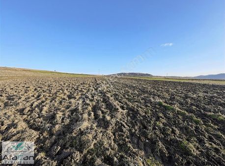 Köy Merkezine 120 M Mesafede Yüzde 5 İmarlı 5200 M2 Tarla!!!