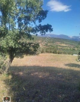 İzmir Bergama Sarıcalar Köyüm Dibinde 9300 M3 Kadastrol Yolu Olan Tarlamiz Satılıktır