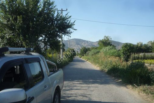İzmir Torbalı Gold Emlaktan Bayındırda Satılık Kıymetli Tarla