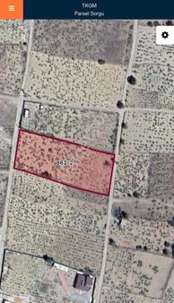 Reşadiye Güzelce Bağlarında 4 Dönüm Bağ