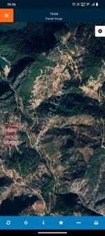 Feke Akkayada Yaylalık Arazi Elsa Gayrimenkul Den