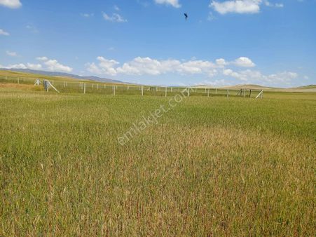 My Ekipdenankara Sincan Temelli Gazi Desatılık İmarlı Arsa
