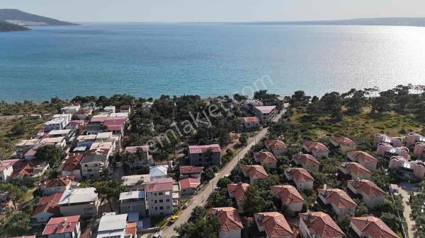 Didim Akbükte Denize 100 Metre Satılık Yatırım Zeytinlik