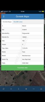 Nohut Harmanında Yaylalık Arsa