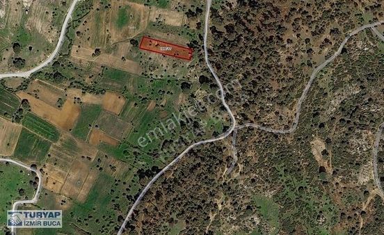 Turyap'tan Muğla Milas Akkovanlık'ta Satılık 1.771 M2 Tarla