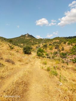 Saadet Korkmaz Emlak'tan Dikili Nebiler Köyünde Ful Deniz Manzaralı Satılık 97 Dönüm Tarla