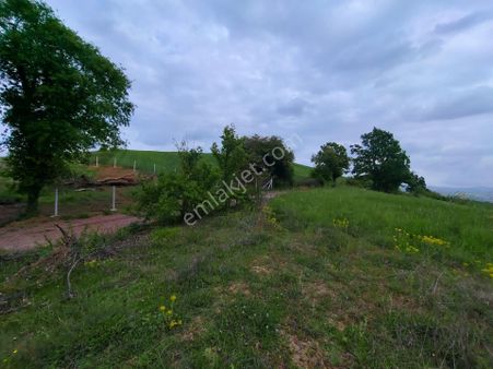 Altın Emlak'tan Körfez Himmetli'de Yatırımlık Satılık Tarla