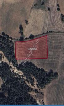 Bilecik Yenipazar Da Satılık Uygun Fiyat Tarla