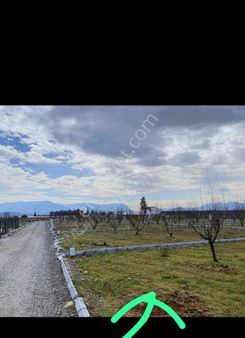 Menderes Develi 250 M2 Yol, Su, Elektrikli Olan Satılık Bahçe