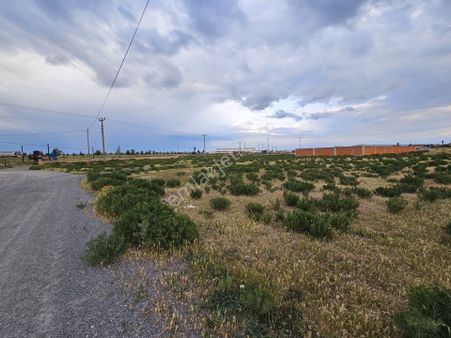 Sevgim'den Çifteler Yenidoğan'da Satılık Konut İmarlı Arsalar