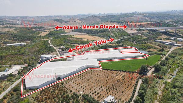 W Property Çavak Yoluna Cepheli 22.350m2 Bakımlı Muz Serası