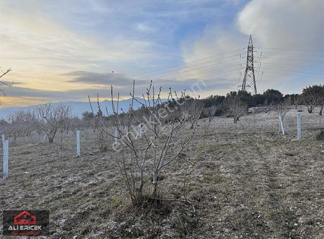 Bornova Beşyol Da Fırsat Son Parseller