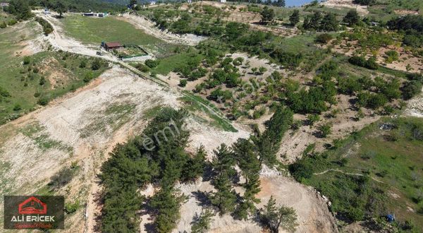 Damlacık Ta Tek Tapu Müstakil Parsel