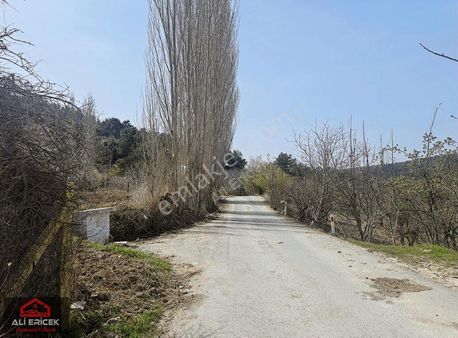 Kemalpaşa Damlacık Ta Tek Tapu Müstakil Parsel Arsa