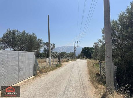 Damlacık Villalar Bölgesi Ana Yol Cepheli Arsa