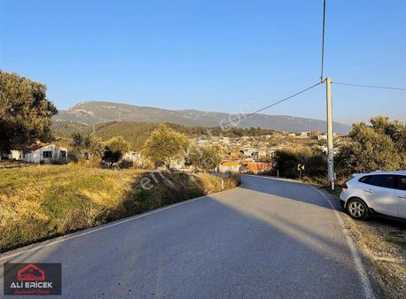 Kemalpaşa Ansızca Da Otobana 2 Km Asvalt Yol Cepheli Arsa