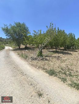 Elektrik Mevcut Düz Zemin Doğaya Hakim Manzaralı Kupon Bahçe