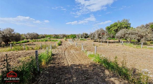 Kemalpaşa Halilbeylide Satılık 300m² Tapulu Bahçeler