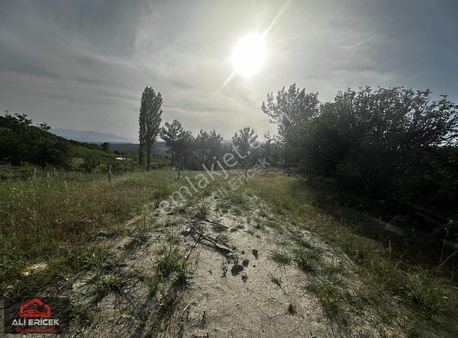 Damlacık Ta Kupon Arsa