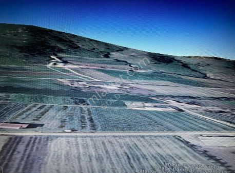 İzmir Ödemiş Bademli 1927 M2 Satılık Arazi