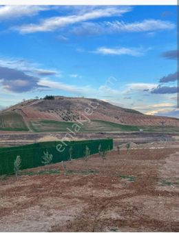 Büyük Kavaklı Da Satılık Bağ Evi Yeri