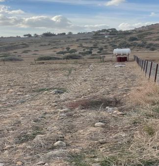 Güngör De 14.700 M2 Çok Bakımlı Hobi Bahçesi