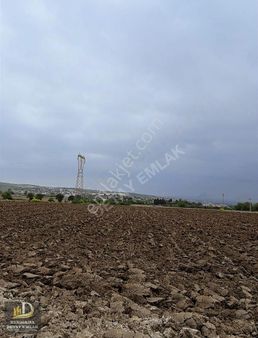 Detay Emlaktan Aksakal Mahallesi 5300 Metrekare Satılık Tarla !
