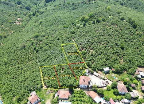 Akçakoca Arabacı Köyü'nde 1005 M2 - 1020 M2 - 1094 M2 - 1243 M2 Satılık Arsalar