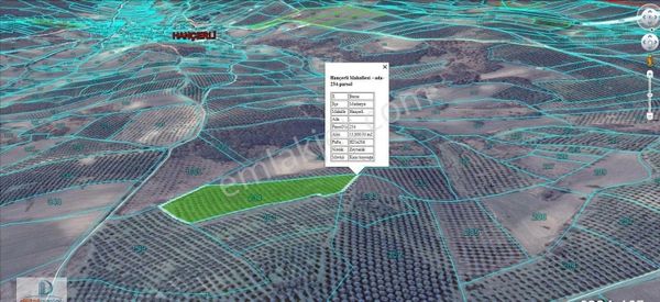Mudanya Hançerli'de Köye Yakın Yatırımlık Satılık 14 Dönüm Zeytinlik.