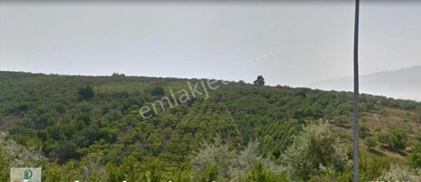 Otoban Kenarı İmarı Gelişecek Bölgede Satılık 13 Dönüm Kıymetli