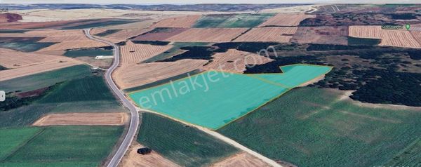 Nilüfer Çatalağıl'da Asfalta Cephe Satılık 41 Dönüm Kıymetli Ara