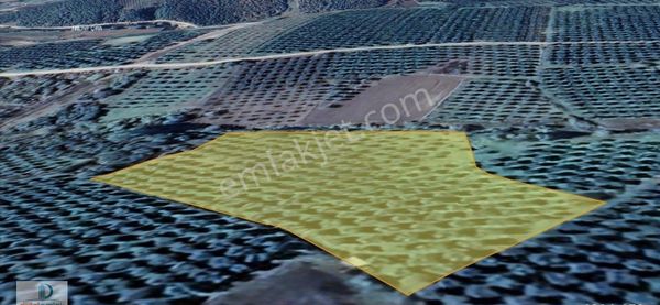 Dijitalemlak'tan Yörükyenicesi Köyüne Yakın Gelişime Açık Bölge