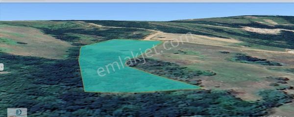 Dijitalemlak'tan Nilüfer İnegazide Köye Yakın Yola Cephe 6 Dönüm Satılık Manzaralı Kıymetli Tarla.