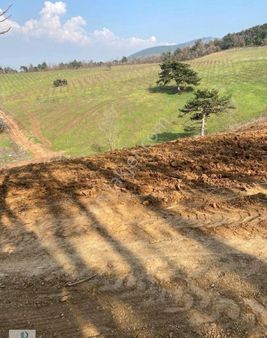 Dijitalemlak'tan Kestel Aksu'da Satılık Parselasyonlu 14 Dönüm Bahçe Yapmaya Elverişli Parseller.