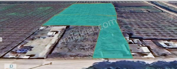 Dijitalemlak’tan Gürsu Kazıklıköyü Girişinde Asfalta Cephe Satılık 8.260 M2 Kıymetli Arazi.