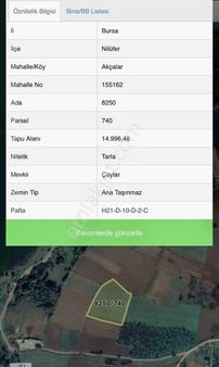 Dijitalemlak’tan Nilüfer Akçalarda 15 Dönüm Satılık Kıymetli Arazi