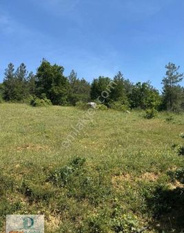 Dijitalemlak'tan Orhaneli Çınarcık Köyünde Ful Manzaralı Yola Cephe 8.680 M2 Satılık Kıymetli Arazi