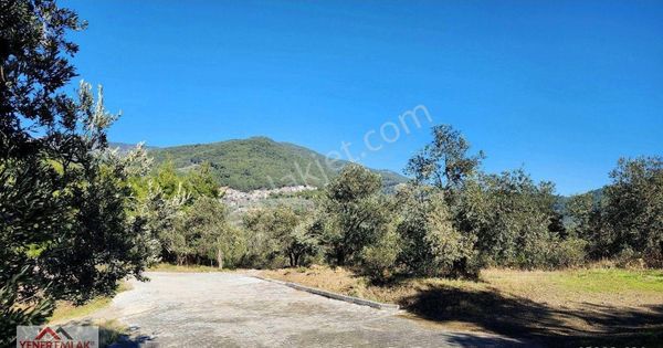 Yener Emlak’tan Beyoba’da Harika Manzaralı 2.143m2 Fırsat Zeytinlik