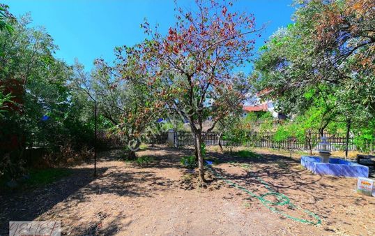 Zeytinlide Hasanboğuldu Yolu Üzeri Çaya Cepheli Ticariye Uygun