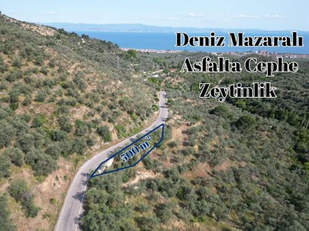 Altınoluk İlkbahar'dan Doyran Yolunda Asfalta Cephe Deniz Manzaralı Yatırımlık Zeytinlik
