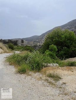 Çiçek Emlaktan Satılık Kiraz Bahçesi