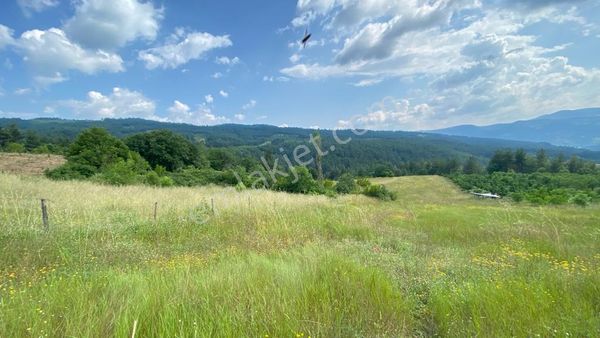 Keles Belenören De 7600 M2 Tek Tapu Tarla