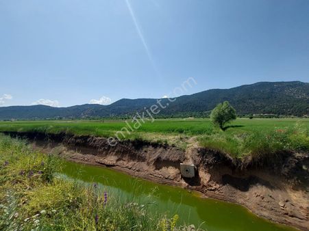Çameli Bıçakçı’da Satılık Kelepir Arazi – 5.333 M² Müstakil Tapulu