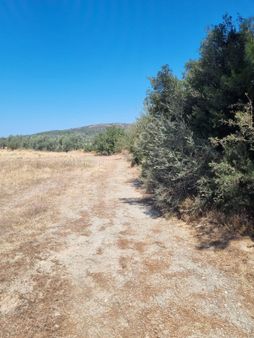 Milas Hasanlar Mah. Turizim Gelişme Bölgesinde Satılık Arazi