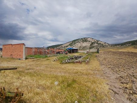 Rba Dan Alpu Büğdüz Mahallesinde Satılık Tarla