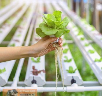 Aydın'da Topraksız Tarım Serası