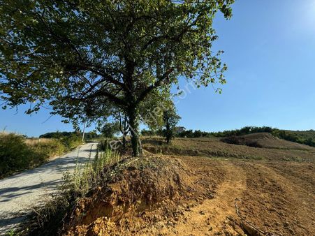 Fırsat!! Sakarya Kocaali Kozluk Mahallesinde Son 1 Adet İmarlı Arsa